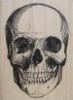 輸入スタンプ Skull